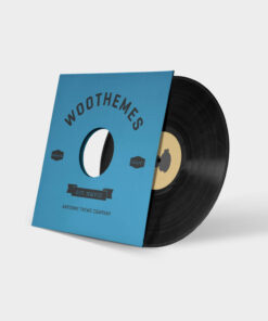 Vinyl Records – Timeless Sound, Tangible Music Experience