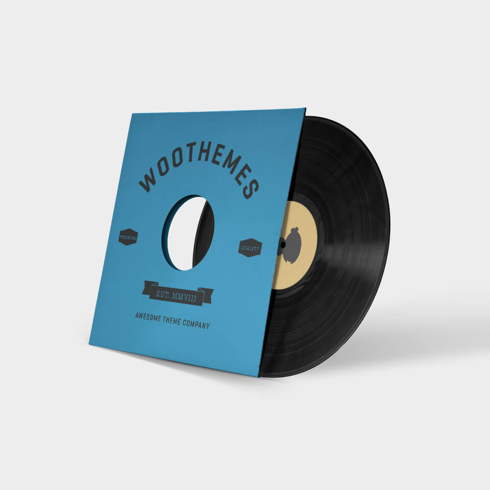 Vinyl Records – Timeless Sound, Tangible Music Experience